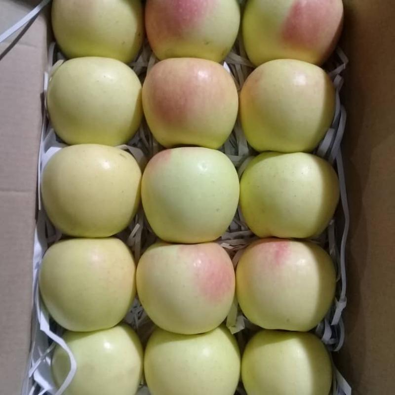 Golden Apples buy wholesale - company Safiran Sepehr | Iran