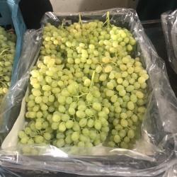 Yellow Seedless Grapes