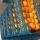 Oranges buy wholesale - company Safiran Sepehr | Iran