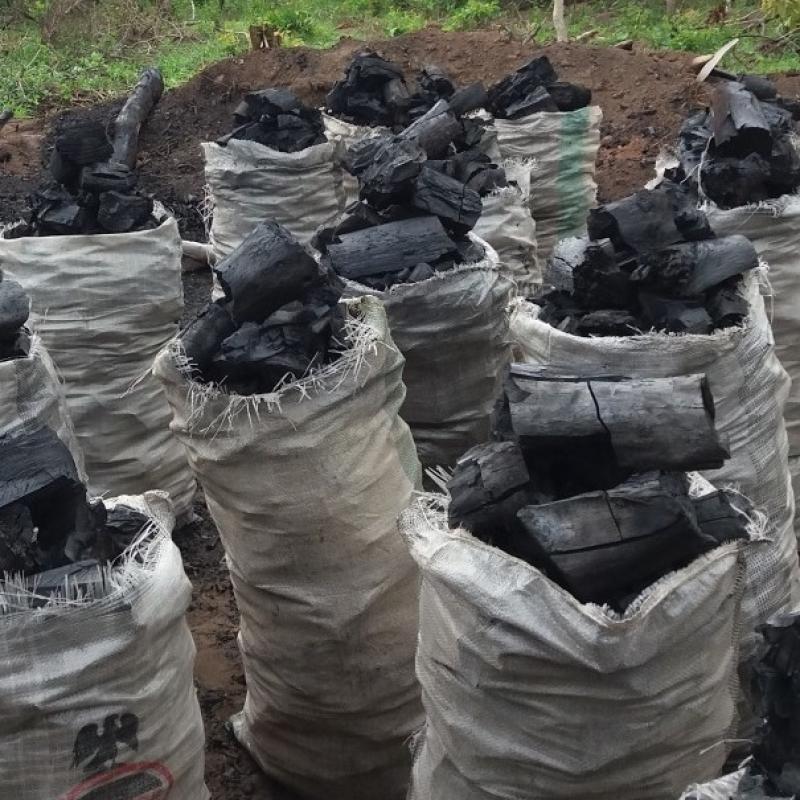 Древесный уголь купить оптом - компания Tanwolabam Nigeria Limited | Нигерия
