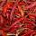 Dried Chili Peppers buy wholesale - company Tanwolabam Nigeria Limited | Nigeria