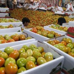 Tomatoes buy on the wholesale