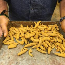 Turmeric Finger buy on the wholesale