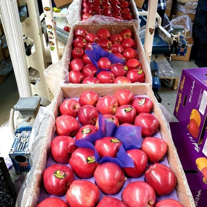 Яблоки купить оптом - компания D Fresh Market | Пакистан
