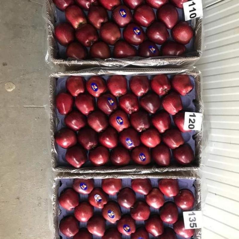 Apples buy wholesale - company D Fresh Market | Pakistan
