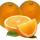 Oranges buy wholesale - company Elnasr for export and import | Egypt