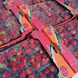 Strawberries buy on the wholesale