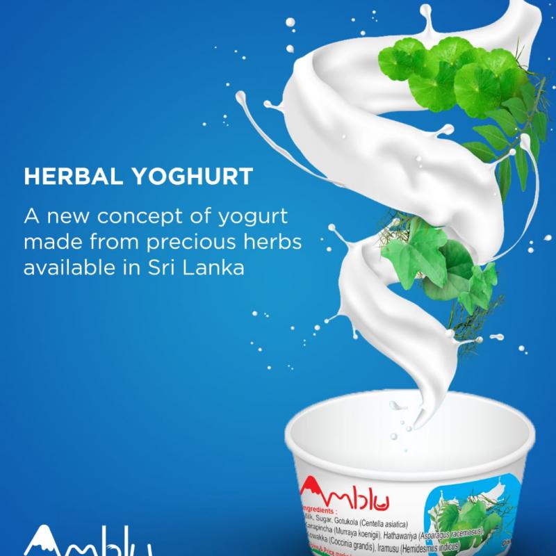 Натуральный йогурт  купить оптом - компания Amblu Foods (Pvt) Ltd | Шри-Ланка