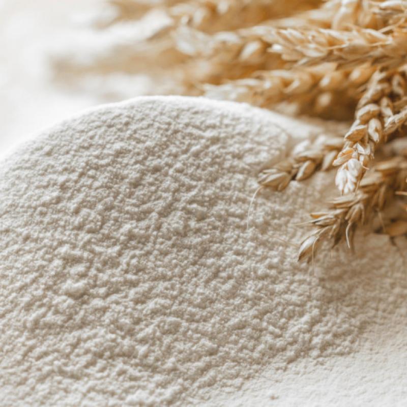 White Wheat Flour  buy wholesale - company AISHA EXPORTS | India