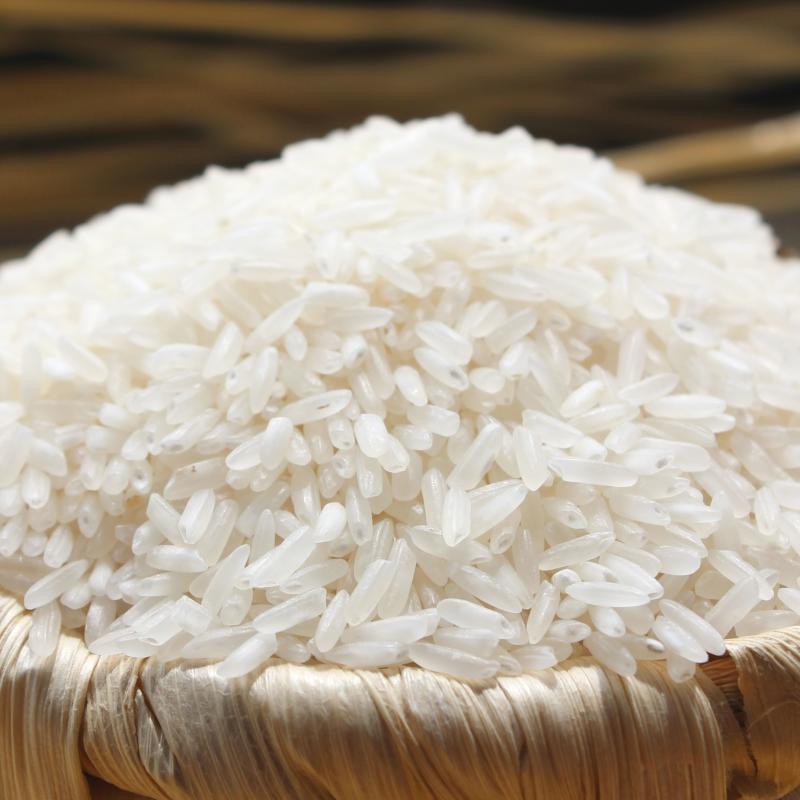 White Rice buy wholesale - company AISHA EXPORTS | India