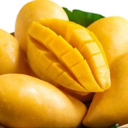 Mangoes buy on the wholesale