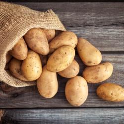 Potatoes  buy on the wholesale