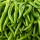 Green Chillies buy wholesale - company AISHA EXPORTS | India