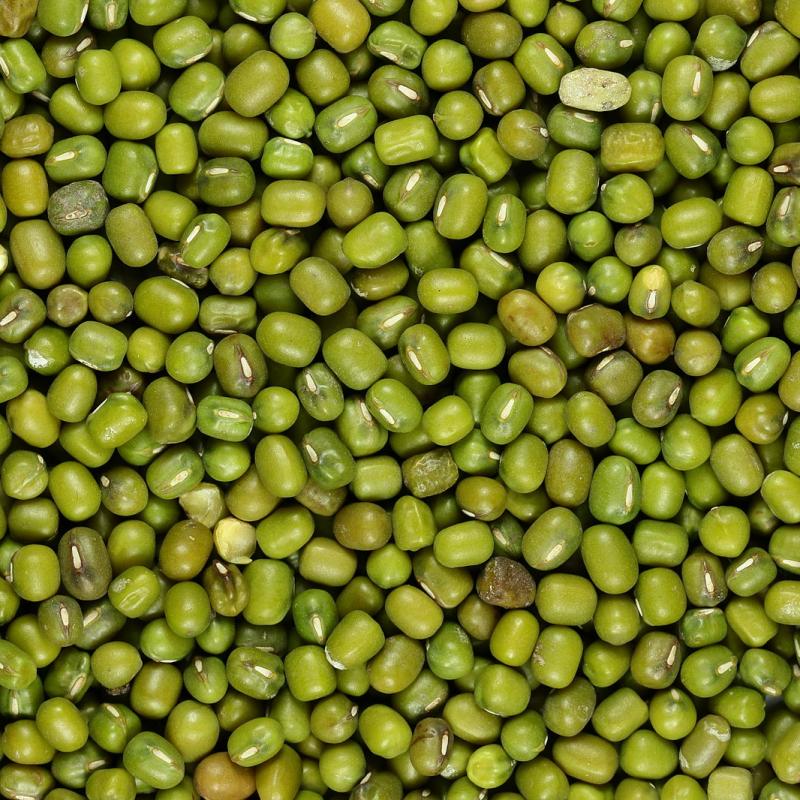 Green Mung Beans buy wholesale - company Leadstar Trading Plc | Ethiopia