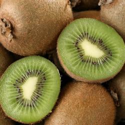 Kiwifruit buy on the wholesale
