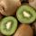 Kiwifruit buy wholesale - company 上海衡沣国际贸易有限公司 | China