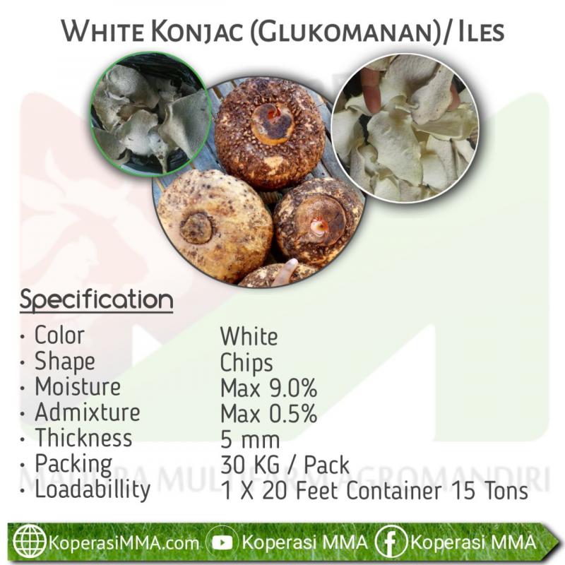 Porang / Konjac Chips buy wholesale - company Koperasi madura multifarm agromandiri | Indonesia