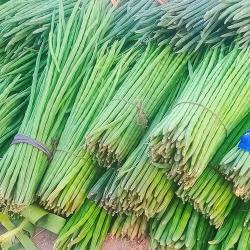 Drumsticks buy on the wholesale