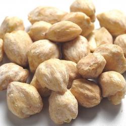 Candlenuts buy on the wholesale