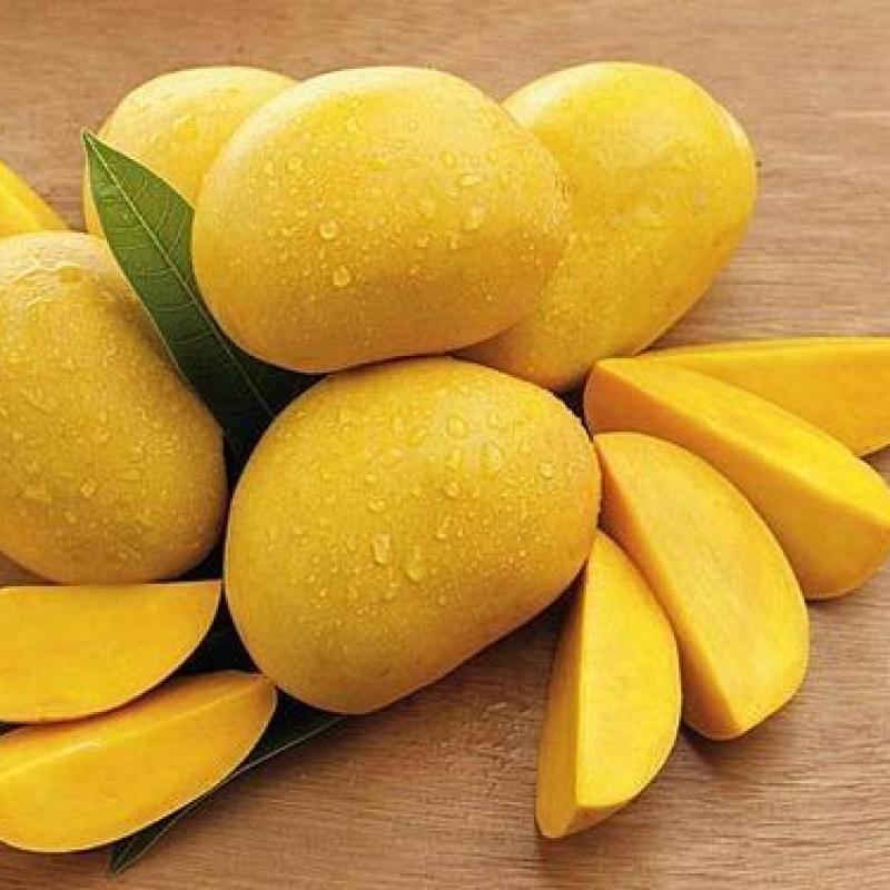 Mangoes buy wholesale - company GT-B2B Import Export Private Limited | Pakistan