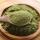 Moringa Leaf Powder buy wholesale - company SIEGER BIO ENERGY | India