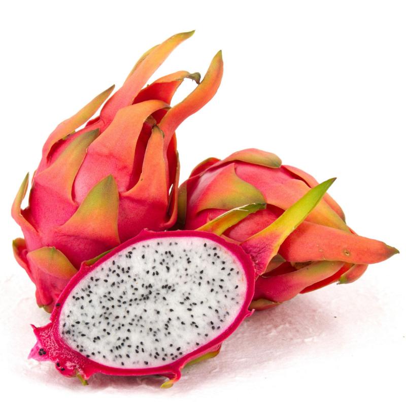 White Fleshed Pitahaya (Dragon Fruits) buy wholesale - company Dua Dua Vietnam | Vietnam