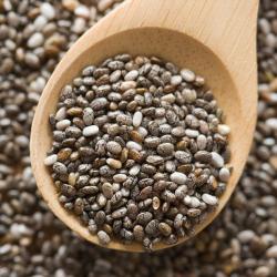 Chia Seeds  buy on the wholesale