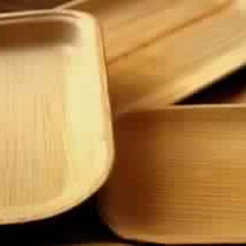 Areca Leaf Plates buy wholesale - company Synthesise Overseas Pvt. Lyd | India
