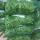 Peas  buy wholesale - company MH Karawan LTD | Afghanistan