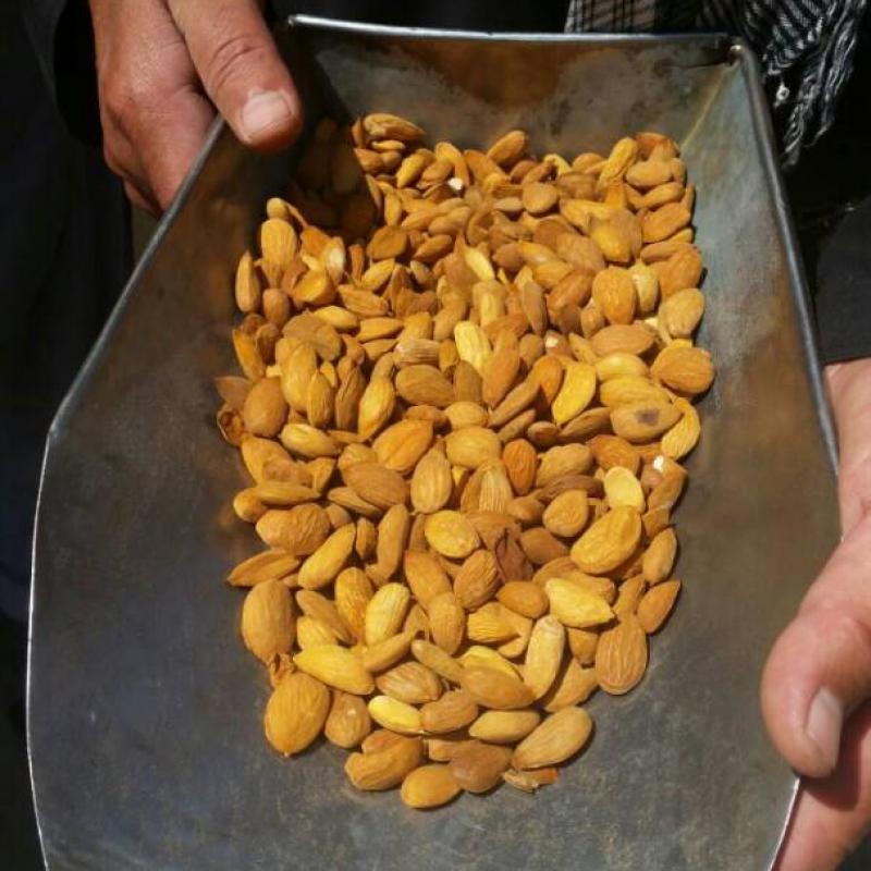 Almonds buy wholesale - company MH Karawan LTD | Afghanistan