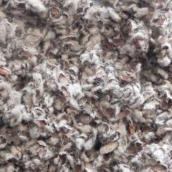 Cotton Seeds Hulls buy on the wholesale