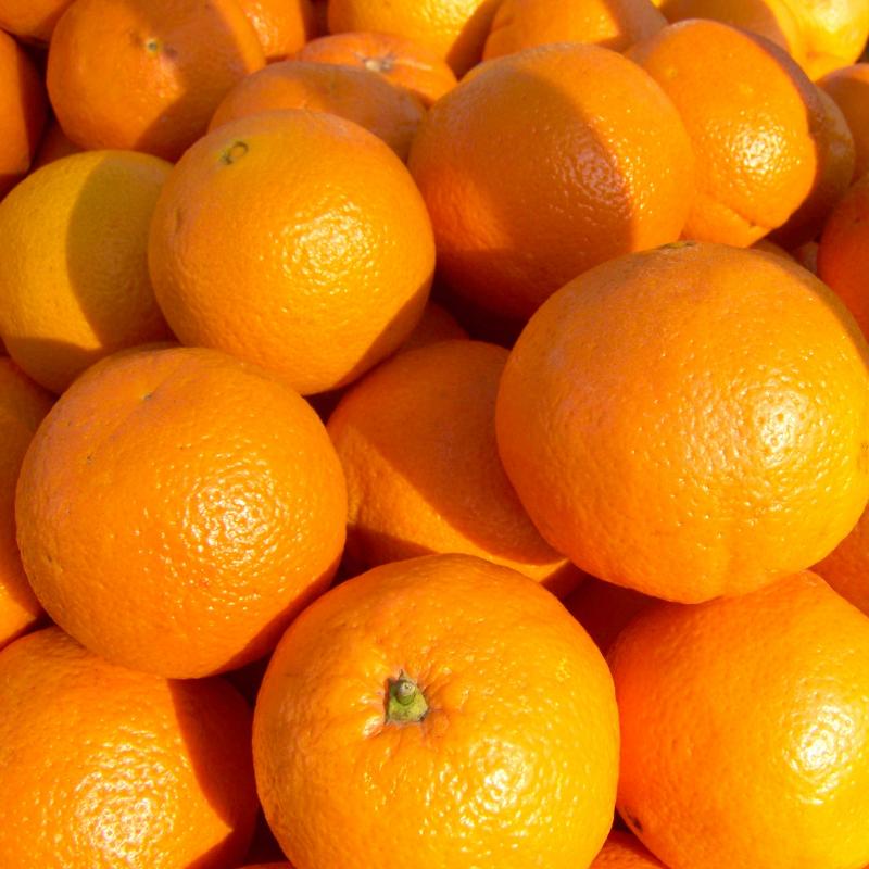 Апельсины купить оптом - компания D Fresh Market | Пакистан