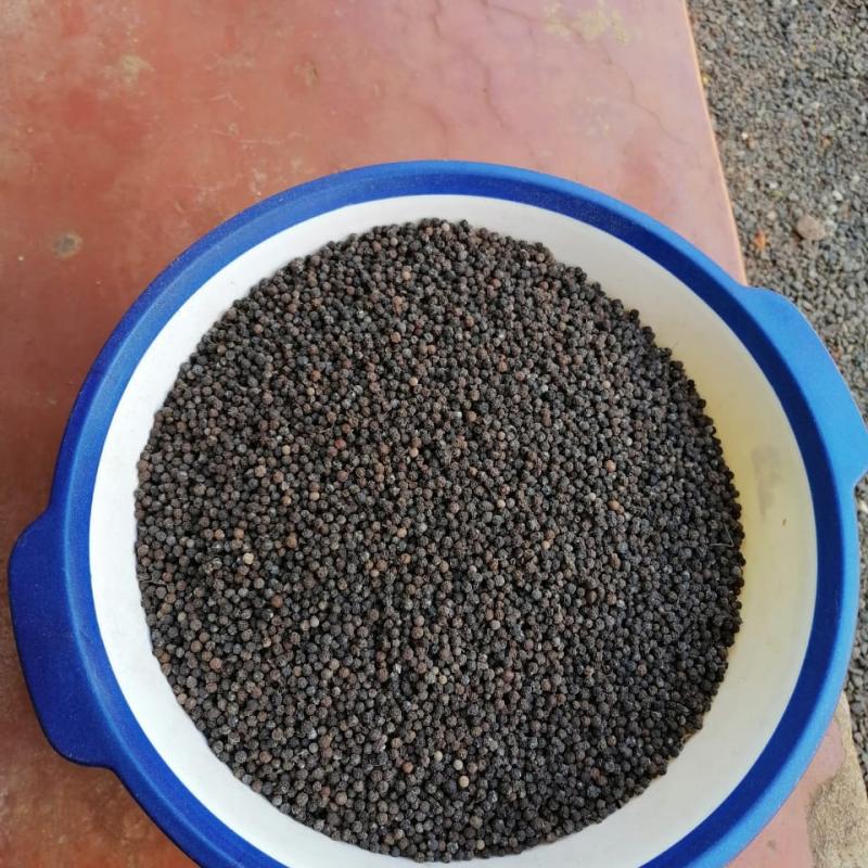 Black Pepper buy wholesale - company Saurabh overseas trading Vadodara Gujarat | India