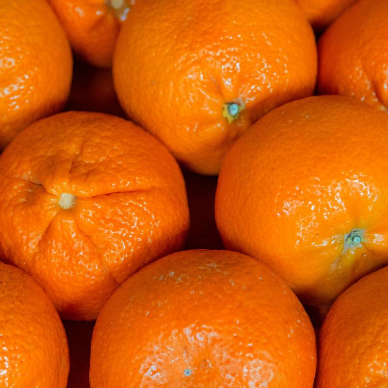 Mandarins buy wholesale - company Sublime food supplies | Pakistan