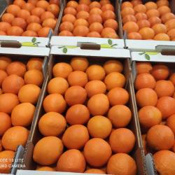 Апельсины из Греции купить оптом