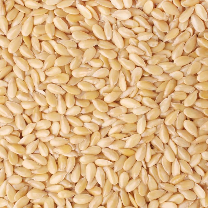 Sesame Seeds buy wholesale - company Salaknight Ltd | Nigeria