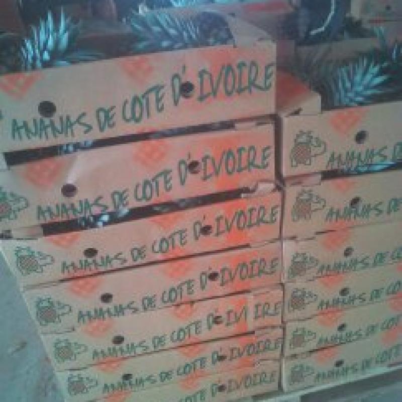 Pineapples   buy wholesale - company B-LABEL | Côte d'Ivoire