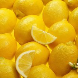 Fresh Lemons  buy on the wholesale