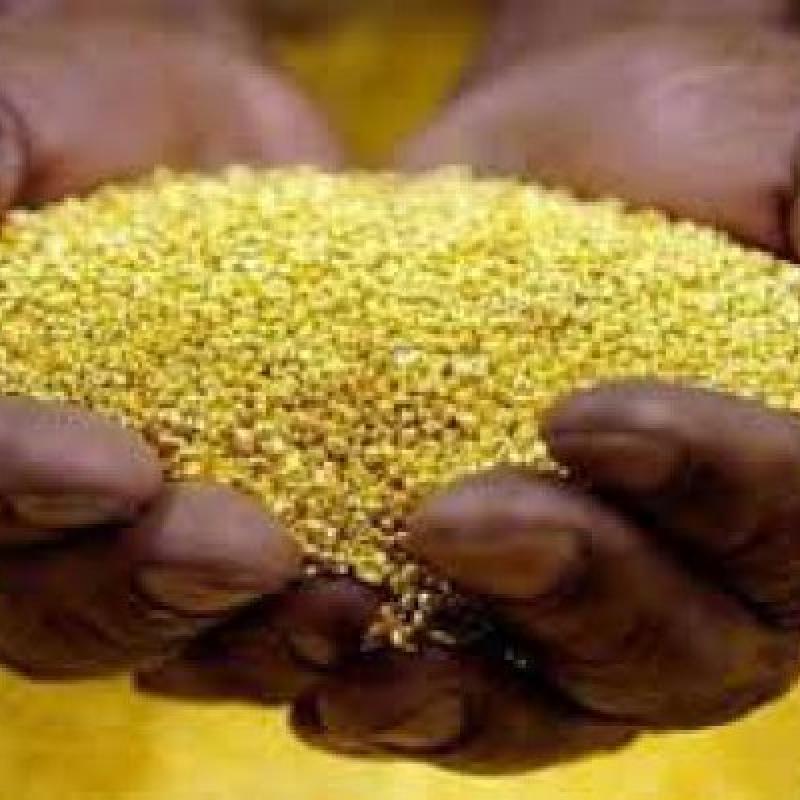 Gold buy wholesale - company B-LABEL | Côte d'Ivoire