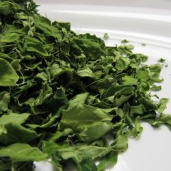 Moringa Dried Leaves buy on the wholesale