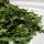 Moringa Dried Leaves buy wholesale - company Anagha exports | India