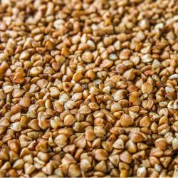 Buckwheat Groats  buy on the wholesale