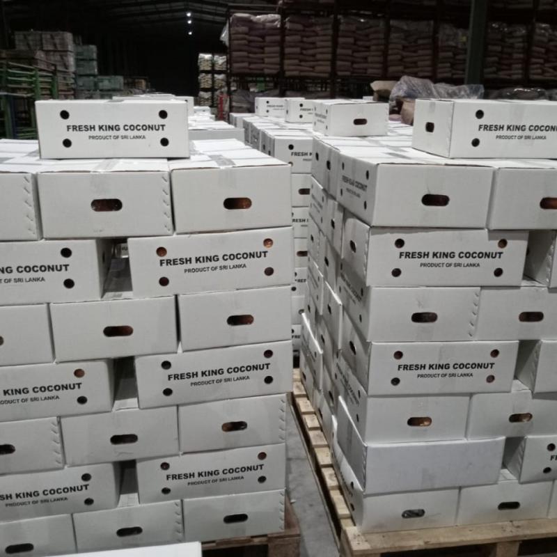 Fresh Cassava (Tapioca)  buy wholesale - company Serendib Asia Trading PVT LTD | Sri Lanka
