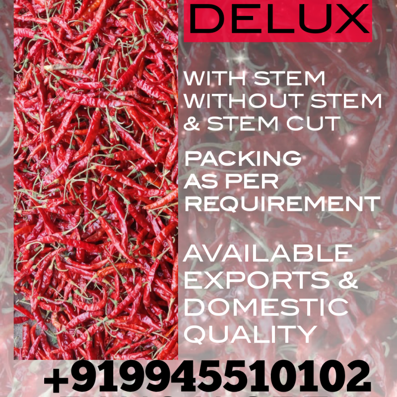Red Chilli  buy wholesale - company BANGALORE METRO TRADERS | India