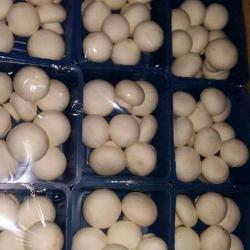Button Mushrooms buy on the wholesale