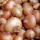 Onions buy wholesale - company GKS | Pakistan