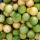 Passion Fruits buy wholesale - company Jps ceylon lanka | Sri Lanka