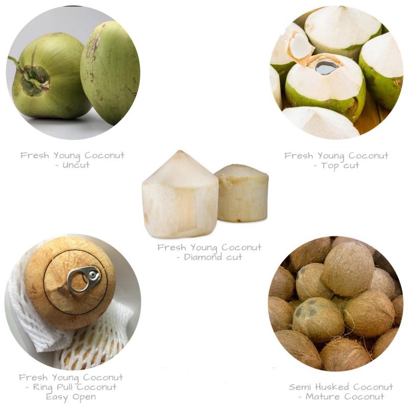 Свежие зеленые кокосы купить оптом - компания Telluric Express Traders (OPC) Private Limited | Индия
