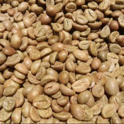 Indonesian Robusta Java Green Coffee Beans