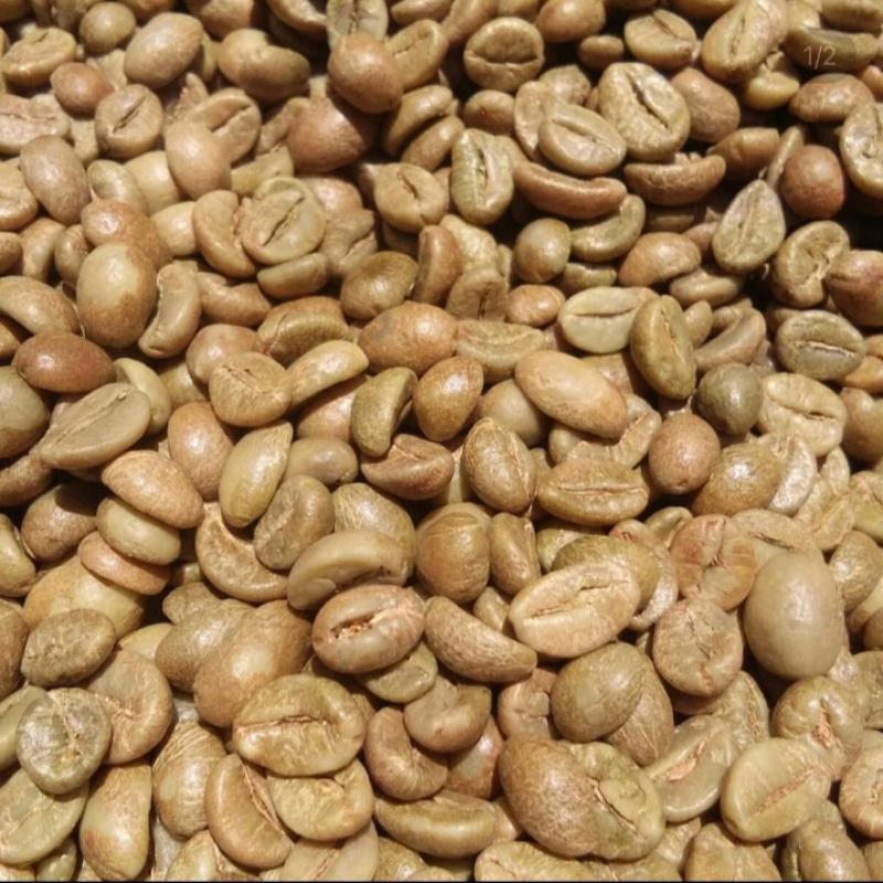 Индонезийский кофе Робуста Ява в зернах купить оптом - компания UD. AISINDO KARYA MANDIRI | Индонезия